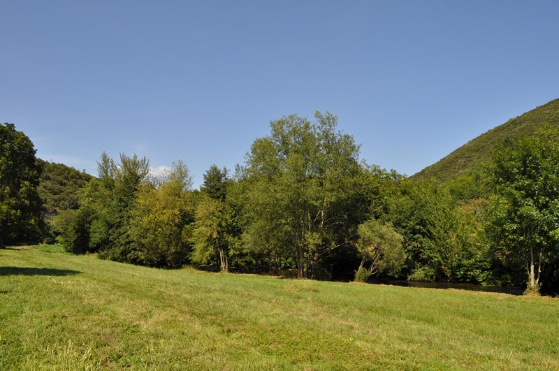 Verdure qui entoure le camping